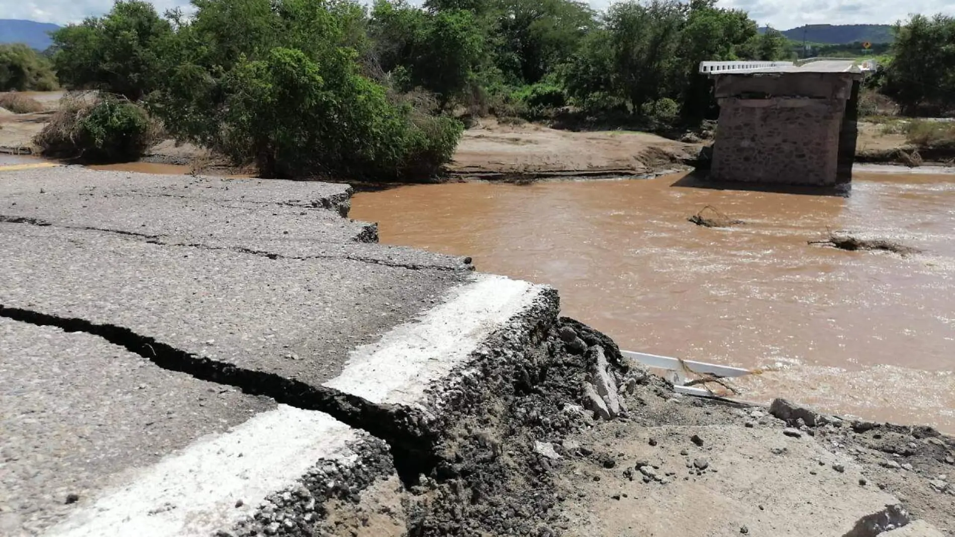 puentes quelite